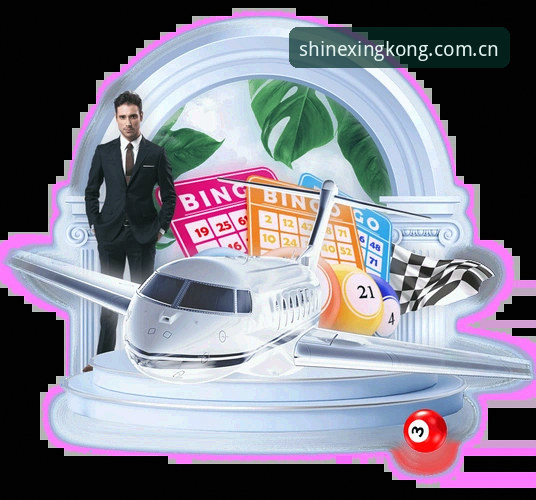 仰望即有光CN网页登录 星空平台新版本上线指南:从网页登录到APP使用的完整攻略