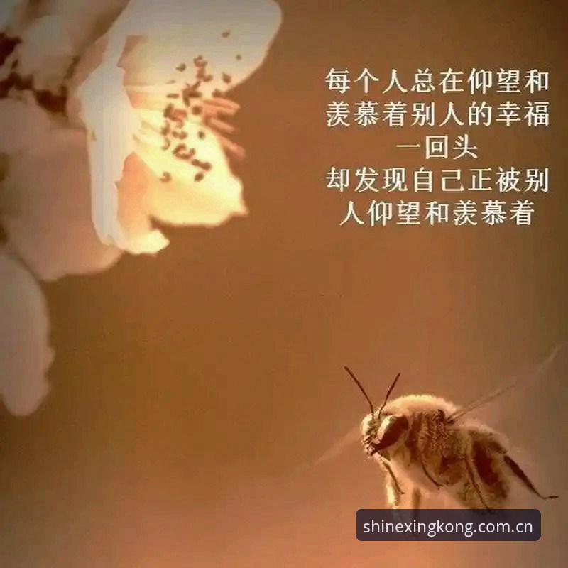 5个关键选择：为什么“仰望即有光CN网页登录”正在改变运动爱好者的使用习惯